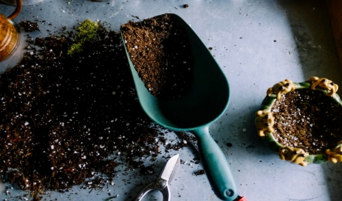 May Garden Tips