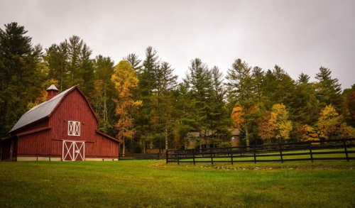 Protecting Your Property From Pests