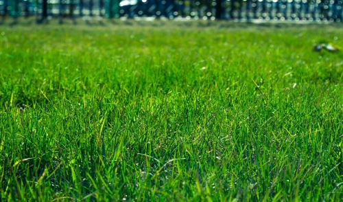 Rent Our Sod & Grass Equipment