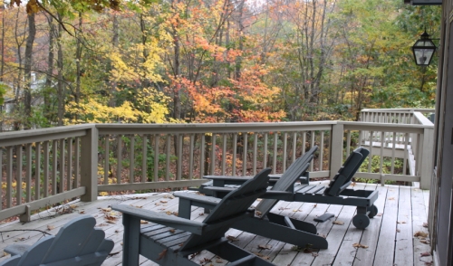 Removing Sap From Your Deck