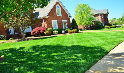 When You Should Aerate Your Lawn 