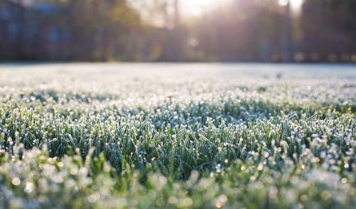 Winterizing Your Lawn