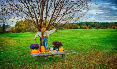 Outdoor Style For Fall Decor