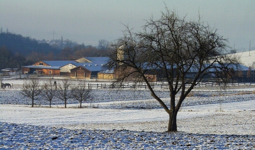 Farming Through the Winter Freeze