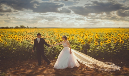 Rent the Equipment you need for your Backyard Wedding