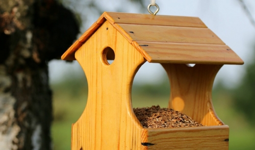 How to Clean Your Bird Feeders