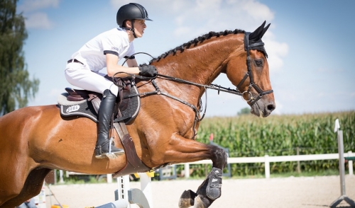 The Products that Make Your Blue Ribbon Possible