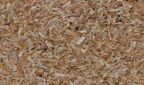 Understanding Bedding Types and Their Benefits