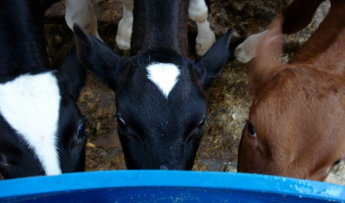 Advantages of Mineral Tubs