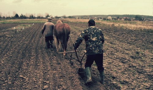 In The Market For A Rototiller?