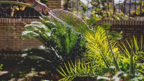 What You Need To Build Your Own Garden