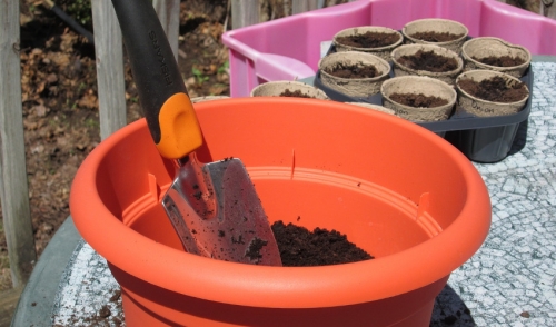 Successful Container Gardening