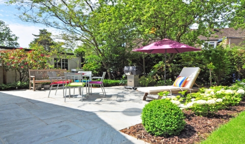 Creating Natural Privacy With These Plants