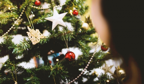 Christmas Tree & Wreaths Arriving