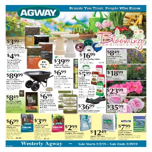 May Sales Flyer