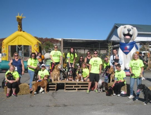 Pet Fest