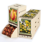 50% Off Flower Bulbs - Assorted Packs