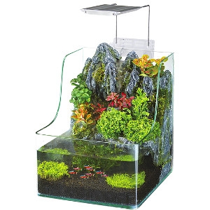 20% Off The AquaTerrium™ Planting Tank