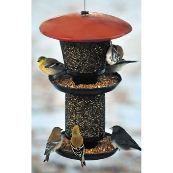 25% Off Any Bird Feeder