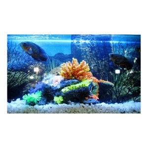 25% Off Any Aquarium Decoration