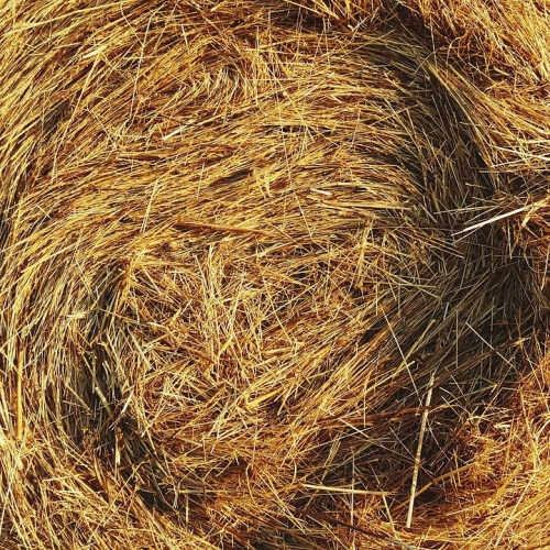 $0.75 off/bale Local Grass Hay w/ 20+ bales
