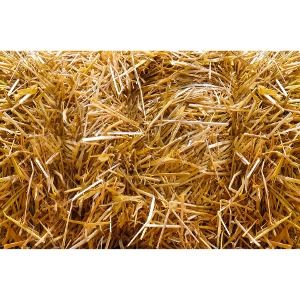 Standard Size Bale of Straw Now $9.99