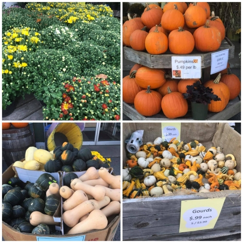 Fall Decor is Here!