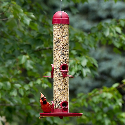 Perky Pet Garden Song Wild Bird Feeder Special