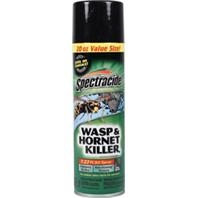 Spectracide Wasp & Hornet Killer Special