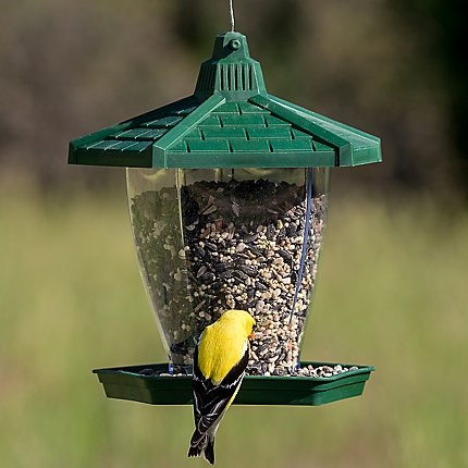 The Chalet Wild Bird Feeder Only $5.99