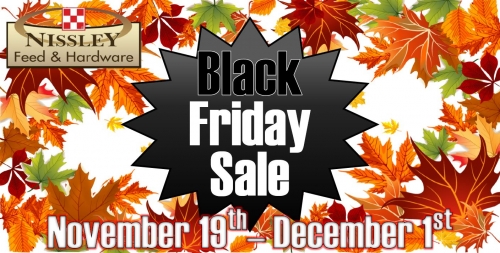 Black Friday Deals