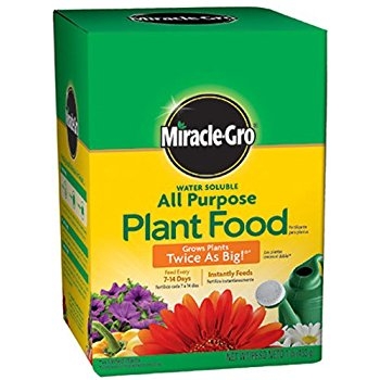 Miracle Grow All Purpose Plant Food for $4.50
