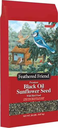 Feathered Friends Blackoil Sunflower for $18.50