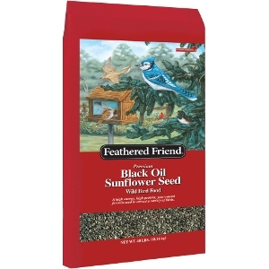 Feathered Friends Blackoil Sunflower for $16.99