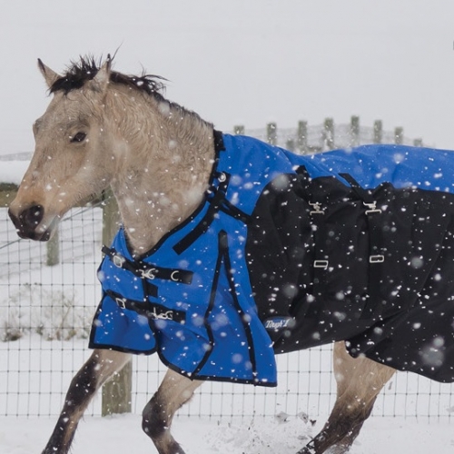 10% off Horse Blankets