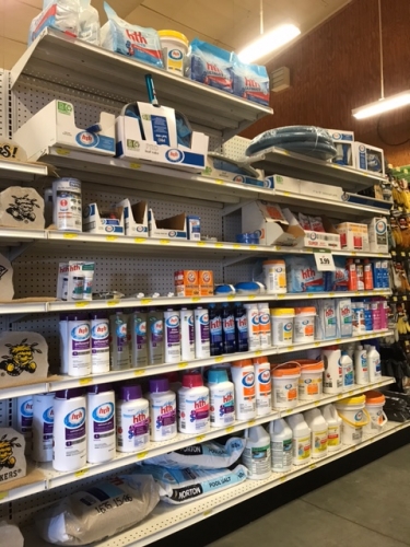 Pool Supplies