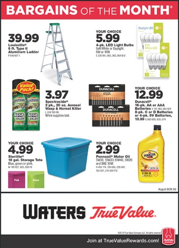 August Bargains of the Month!