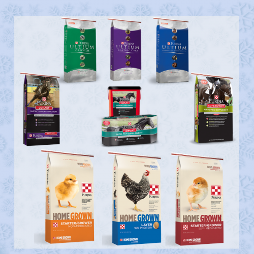 Purina Winter Special