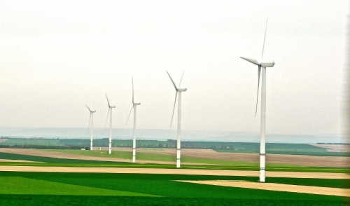 What Makes A Product Green?