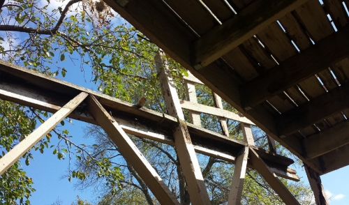 Deck Building & Mold Prevention