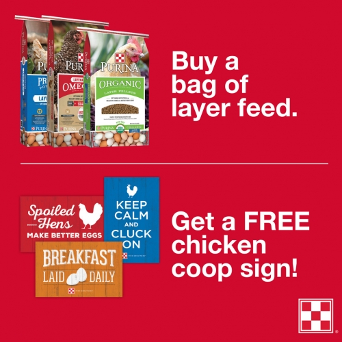 Flocktober Layer Feed Sale