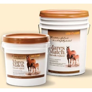 15% off Mares Match Foal Milk Replacer 20 lb