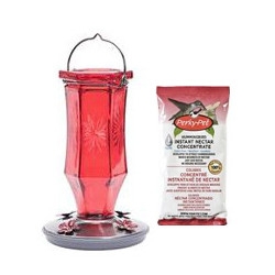 20% Off All Hummingbird Feeders & Nectar