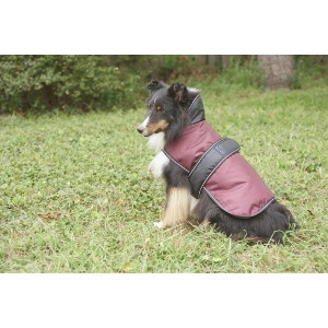10% Off All Dog Coats