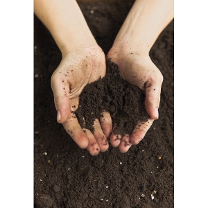 Top Soil 40lb Bag $1.99