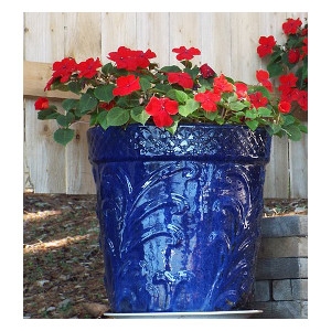20% Off Pottery