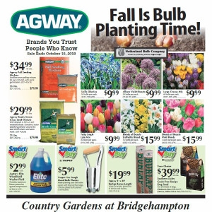 Sales Flyer Savings!