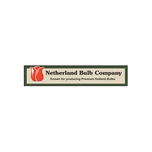 Bulbs- 40% Off Regular Price