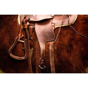 50% Off JLG Saddlery