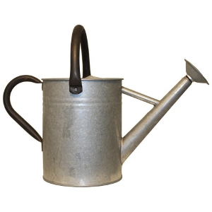 25% Off Aged Galvanized Watering Can